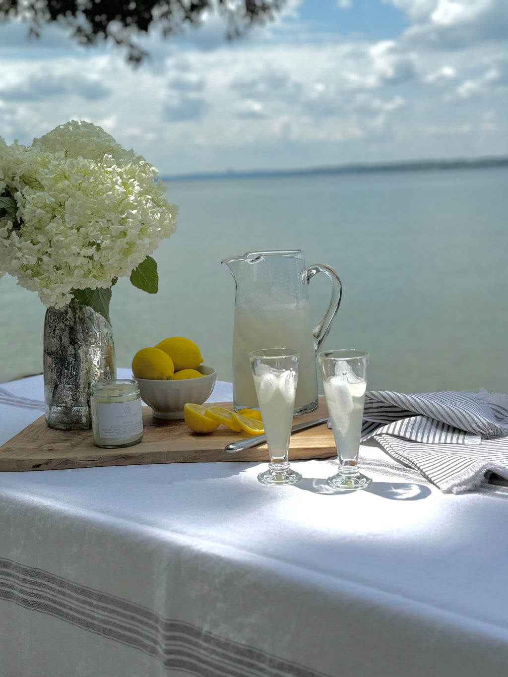 Coastal Fringe Linen Napkins (Set of 4)